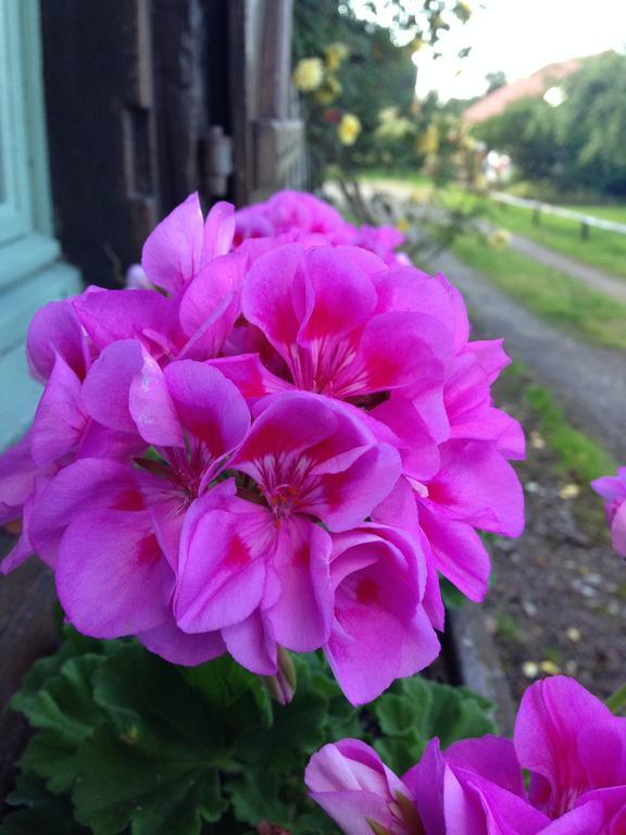 La Baronnie Bed & Breakfast Vieux-Pont Екстериор снимка